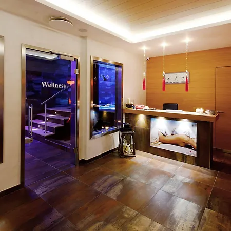 La Maison Wellness & 4* 알레게