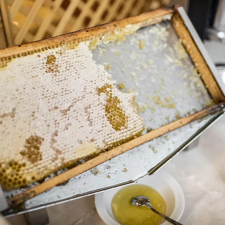 Hotel La Maison Wellness &