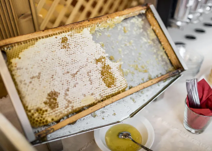 Hotel La Maison Wellness &